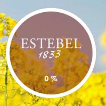 Estebel安卓下载 Estebel安卓下载