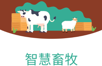 �ǻ�����