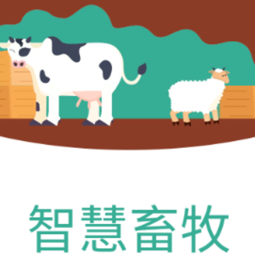�ǻ�����