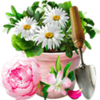 FLORIA(����������⻨԰)v1.2.107 ��׿��