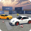 Sports Car Parking(�ؼ�ͣ����ʦ)v1.0.1 ��׿��
