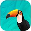 Wildlife(���ô���Ȼ)v1.0.2 ��׿��