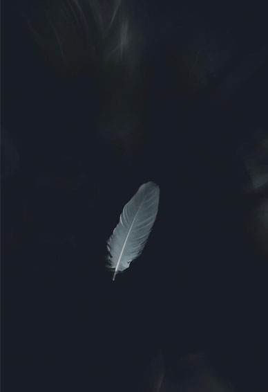 �ֻ���ֽͼƬ���԰������� �Ҳ������Է���ͬ�۵������Ҿ�һ��������