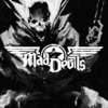 ����ħMad Devils�ⰲװ��ɫ��