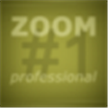 Franzis ZOOM #1 professionalv1.14.03607 绿色版