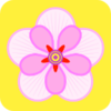 ܽ�ػ�appv3.7.2 ��׿��