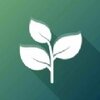 ����2048��Ϸv1.0.7 �ٷ���