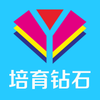 ������ʯ��appv1.0.0 �ٷ���