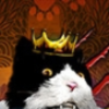 è�ľ���Catsperience�����ⰲװ��