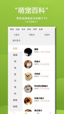 ����Bing�̳�v1.0.1 ���°�