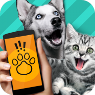 动物翻译器Pet Translator下载正版最新版v1.1 安卓版