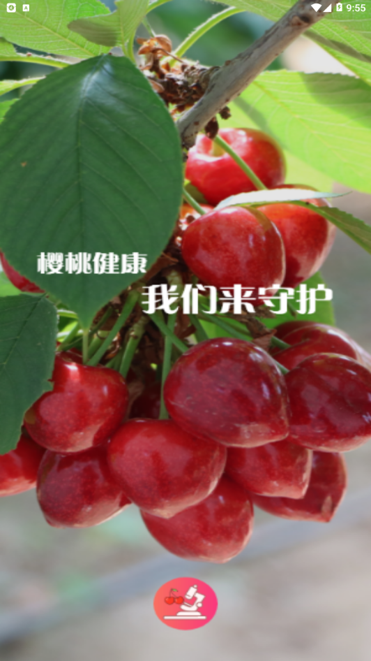 ӣ��ҽ��appv1.2.6 �ٷ���
