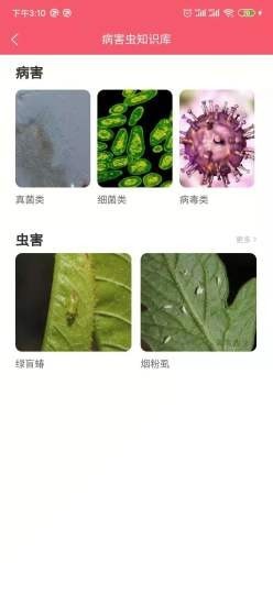 ӣ��ҽ��appv1.2.6 �ٷ���