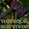 �¶����Ҵ���The Sole Survivor�ⰲװ��ɫ��