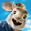 Peter Rabbit(�ȵ��ñ���)v0.1.0 ��׿��