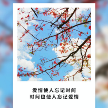 ��ӳ
