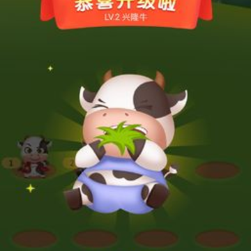 天天爱养牛 天天爱养牛