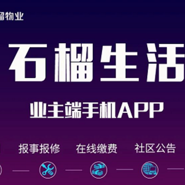 ʯ������app