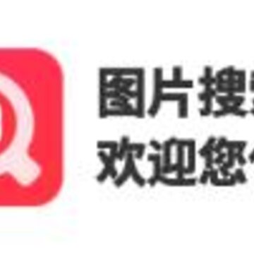 图片搜索app 图片搜索app