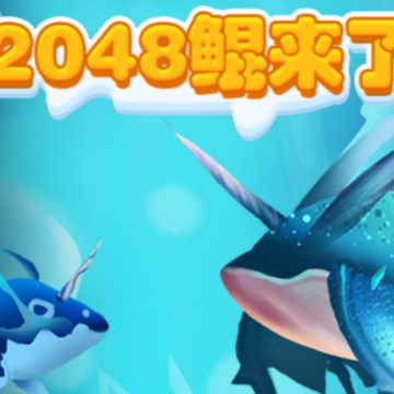 2048鲲来了 2048鲲来了