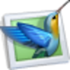 PTE AV Studio Pro(�õ�Ƭ��������)v10.5.10 �ٷ���