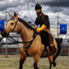 Osman Gazi Sim & Hunt(��˹������ģ������)v1.0.1 ��׿��