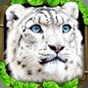 �ռ�ѩ��ģ����V1.2 ��׿��