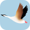 ������׬appv1.0.1 ��׿��