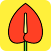 ���ƻ�appv6.8.0 ��ʽ��