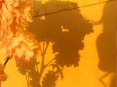 ʧ��������Ȧ��ô�� �ʺ�ʧ��������Ȧ�ľ���
