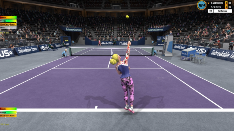 ����Ӣ4Tennis Elbow 4�ⰲװ��ɫ���İ�