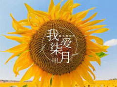 �����ټ���������簲���� �����簲��������¼