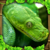 Snake Sim(����ģ����)v1.5 ���İ�