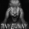 С����Tiny Bunny���������ⰲװ��