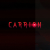 ���CARRION�����ⰲװ��