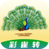 ��ȸתappv1.0.4 �ٷ���