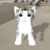�칫�ҵ�è��v1.10 ��׿��