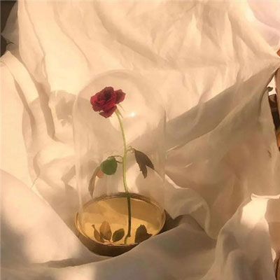 ��һ�۾�����΢�Ÿ��Ա���ͼ һ������һ��������Ϊ�������������