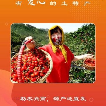 Ⱥ�����ز�app
