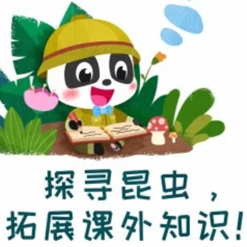 ���������ռ�app