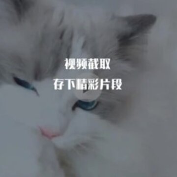 ��Ƶ�༭��app