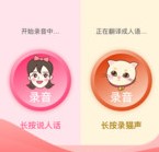 小猫交流器 小猫交流器