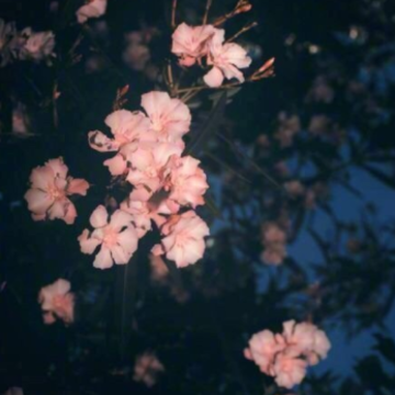 �����ټ�������õ�������˵˵ �������ӭ�Ӱ��µ���־����