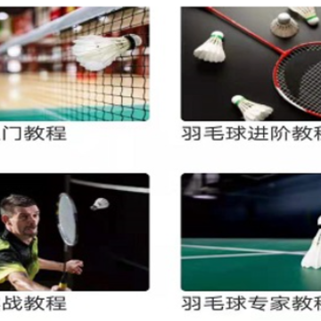 小爱羽毛球教学-羽毛球入门课程 小爱羽毛球教学-羽毛球入门课程