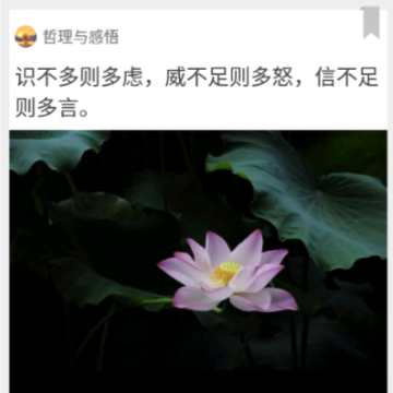 一句心情签名app 一句心情签名app