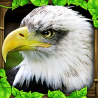 Eagle Sim(老鹰模拟飞行)v1.2 安卓版
