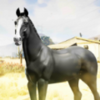 Powerful Enemy Horse(ǿ��ĵ���)v1.0 ��׿��