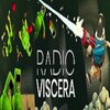 �����̨Radio Viscera�ⰲװ��ɫ��