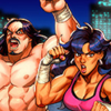 �񶷶���Treachery in Beatdown City�����ⰲװ��
