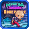 Ninja Jewels Adventure(���߱�ʯð��)v1.2 ��׿��